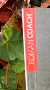 Roman coach sur la manipulation au sein du couple