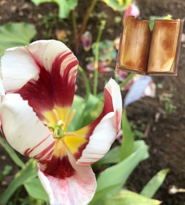 Lectures sur maladies et handicaps