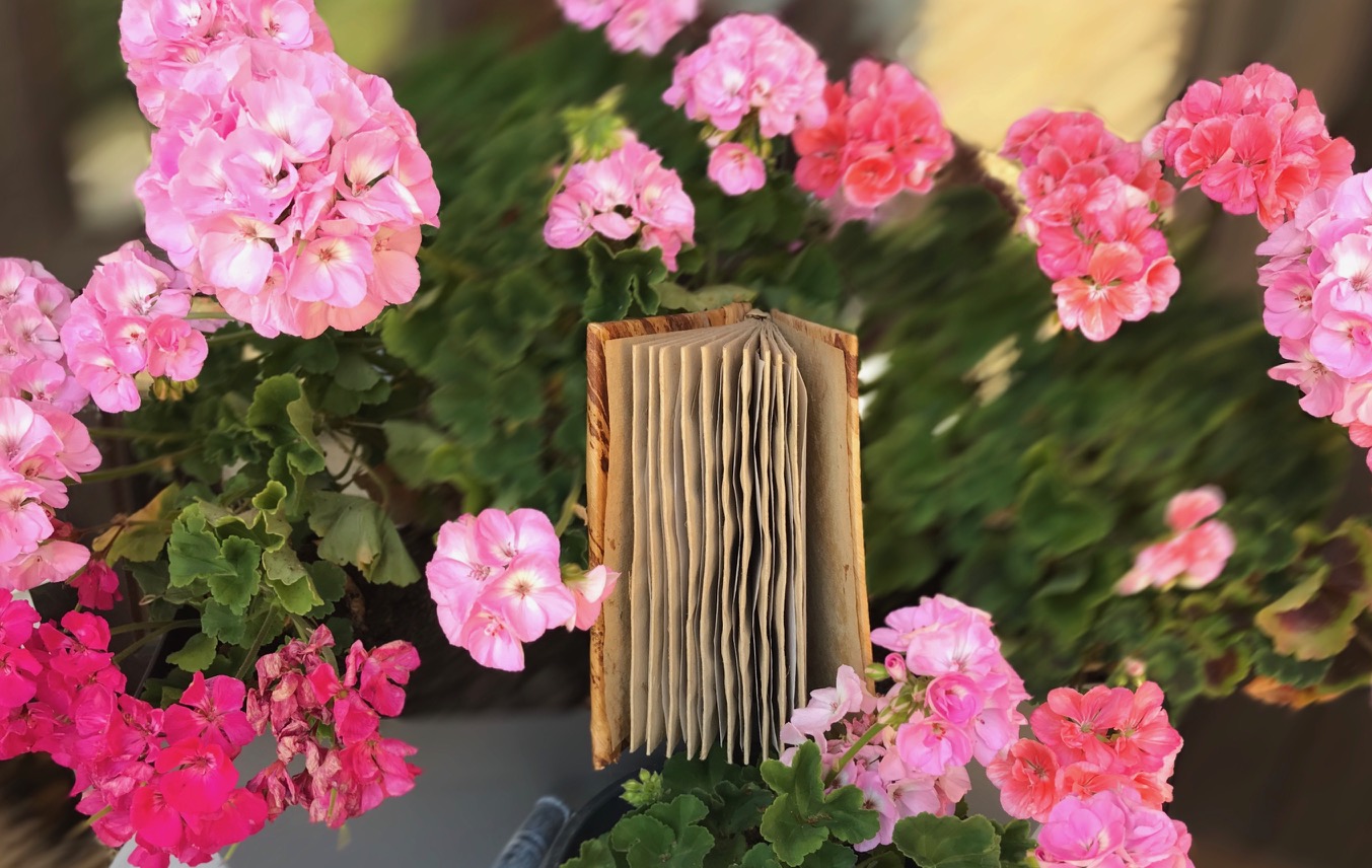 Blog Lire pour guerir